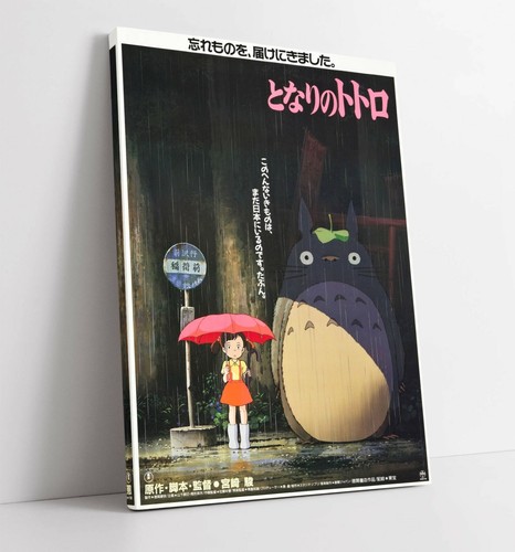 Near totoro riproduzione - my,