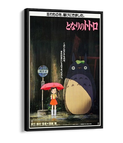 Mio vicino totoro - il,
