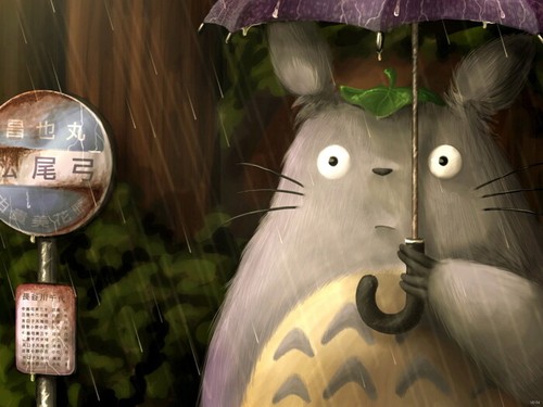 V6154 mio vicino totoro - mio,